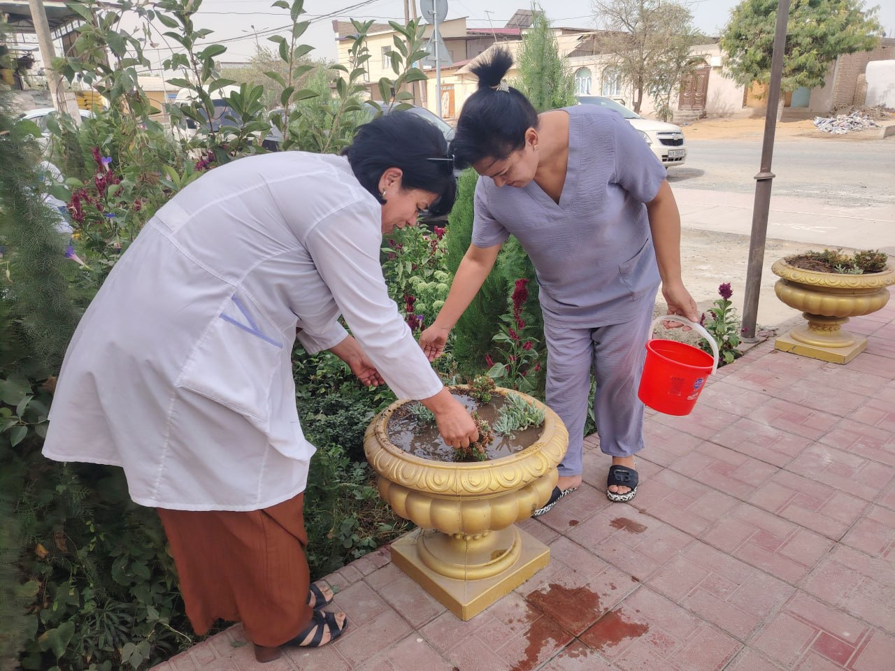 HASHAR-ELGA YARASHAR