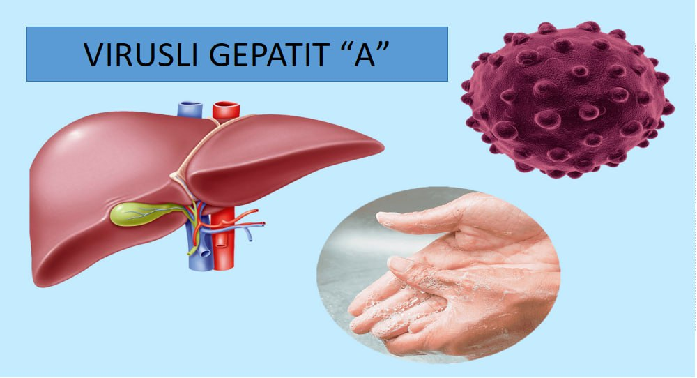 Virusli gepatit "A" kasalligi qanday yo‘llar bilan yuqadi?