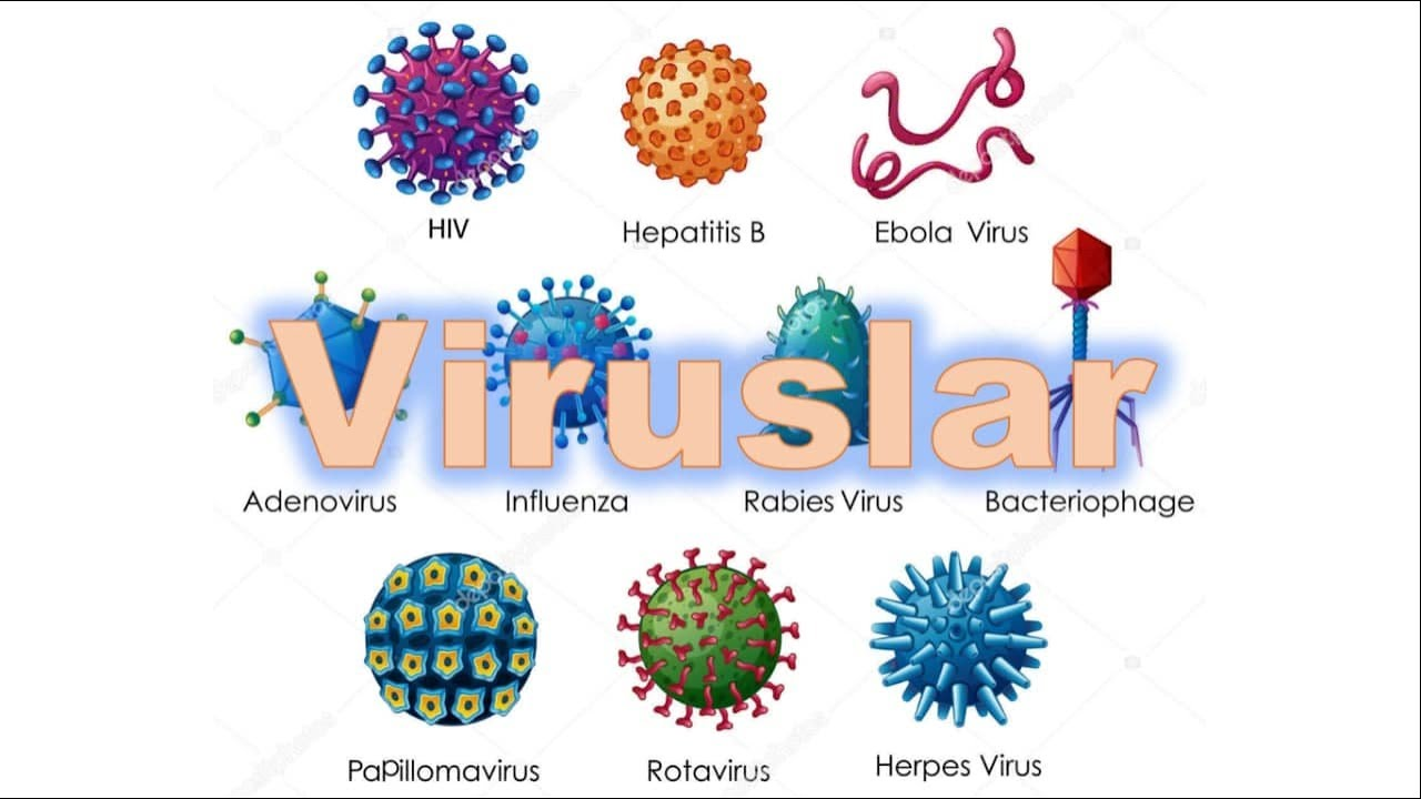 Virusli infeksiyalarni yuqtirib olmaslik  uchun nima qilish lozim